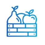 CHUYÊN THU MUA TRÁI CÂY XUẤT KHẨU