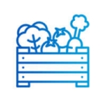 XUẤT KHẨU TRÁI CÂY CHÍNH NGẠCH