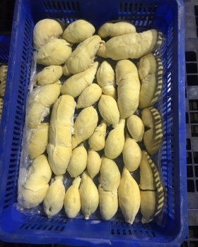 Sầu riêng tách múi cấp đông xuất khẩu