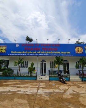 Sầu riêng xuất khẩu Miền Đông - Long Khánh