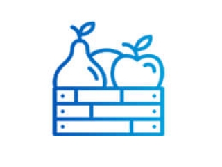 CHUYÊN THU MUA TRÁI CÂY XUẤT KHẨU