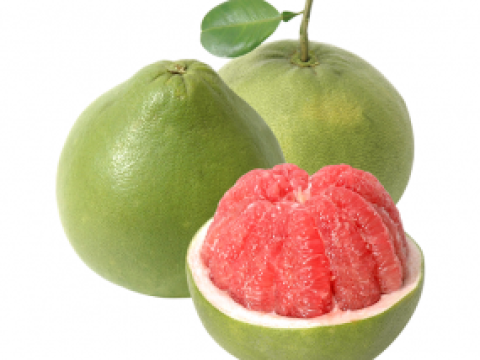 Một số loại trái cây khác