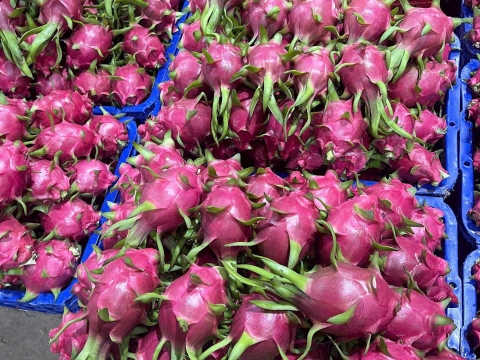 Một số loại trái cây khác