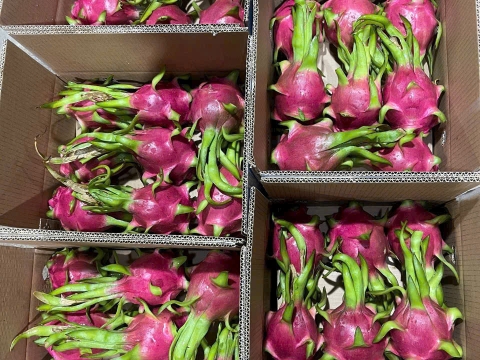 Một số loại trái cây khác