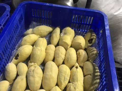 Sầu riêng tách múi cấp đông xuất khẩu