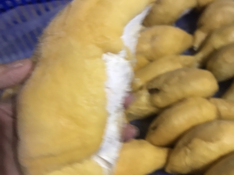 Sầu riêng tách múi cấp đông xuất khẩu