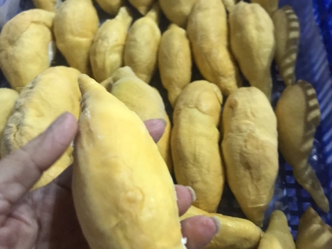 Sầu riêng tách múi cấp đông xuất khẩu