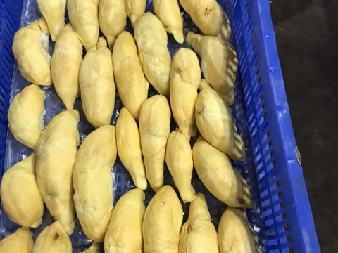 Sầu riêng tách múi cấp đông xuất khẩu