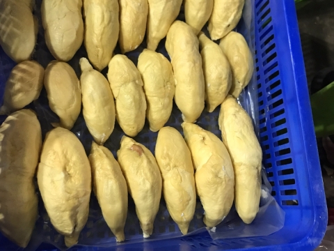 Sầu riêng tách múi cấp đông xuất khẩu