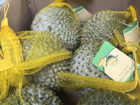 Xuất khẩu sầu riêng tại Đồng Nai