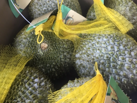 Xuất khẩu sầu riêng tại Đồng Nai