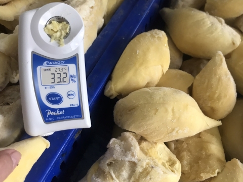 Xuất khẩu sầu riêng tại Đồng Nai