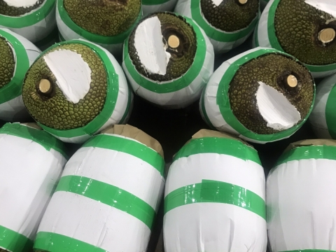 Xuất khẩu mít thái miền nam