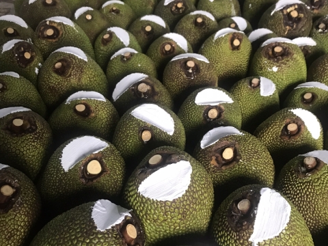 Xuất khẩu mít thái miền nam