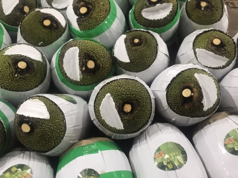 Xuất khẩu mít thái miền nam