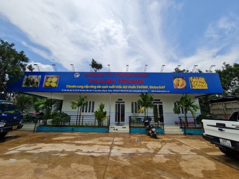 Sầu riêng xuất khẩu Miền Đông - Long Khánh