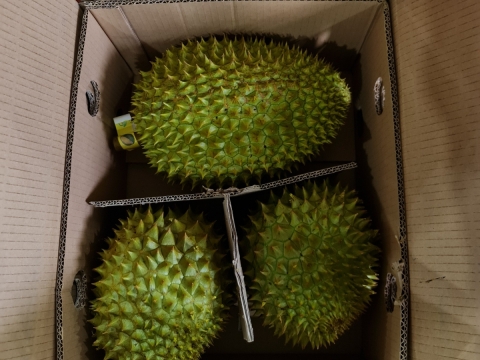Hình ảnh đóng gói sầu riêng, phân loại