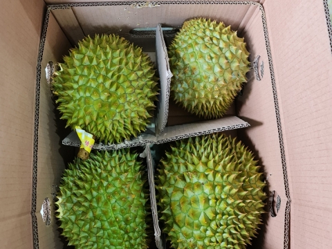 Hình ảnh đóng gói sầu riêng, phân loại