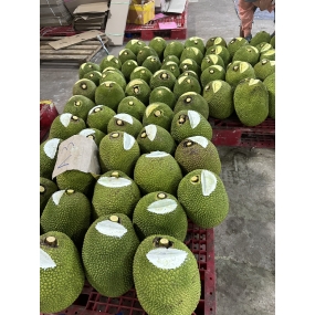 Mít Thái da xanh - vựa mít Đồng Nai