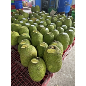 Mít Thái - vựa mít Long Khánh