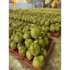 Sầu riêng - Vựa sầu riêng giá sỉ Tiền Giang